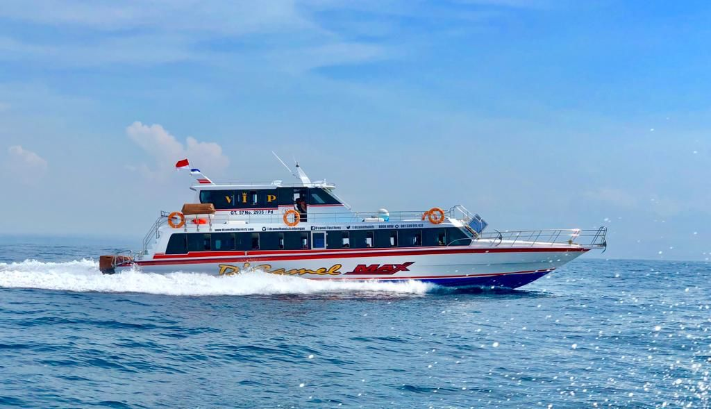 Dcamel boat